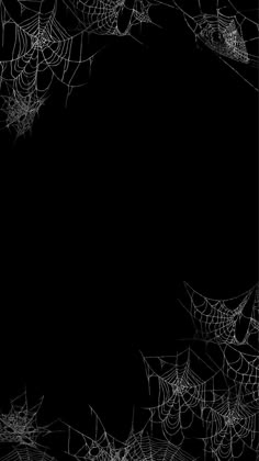 black and white spider web frame with copy space