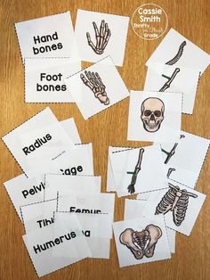 several different types of bones are shown in this printable activity for children to learn