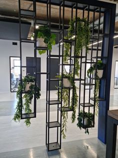 an office space with plants hanging from the ceiling and open shelvings on the wall