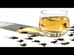 a glass filled with liquid sitting on top of a white table next to flies flying around