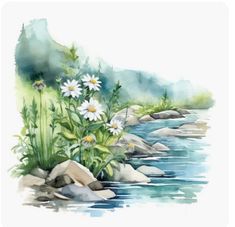 watercolor painting of daisies and rocks by the river