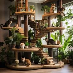 several cats are sitting on top of the cat tree in front of some houseplants