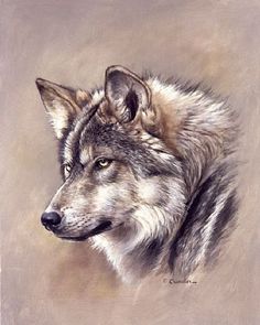 a painting of a grey wolf looking at something in the distance with his eyes open