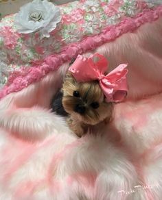 a small dog sitting on top of a pink and white fur covered bed with a bow in it's hair