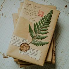 a stack of old envelopes with a wax stamp and fern leaf on them, sitting on top of a wooden table