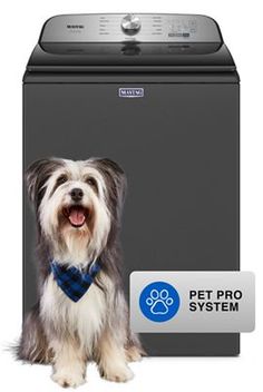 a dog wearing a blue bow tie sitting next to a washer with the words pet pro system on it