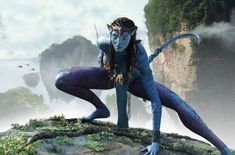 a woman dressed as avatar from avatar is standing on a rock in front of mountains