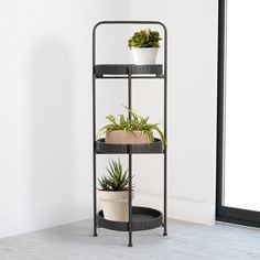 three tiered plant stand with potted plants on top