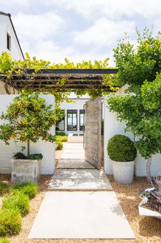 an entrance to a white house with trees and plants on either side of the door