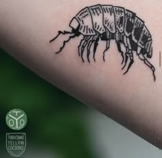 a black and white photo of a bug tattoo on the right arm, it appears to be an insect