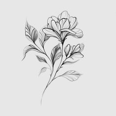 a black and white drawing of some flowers