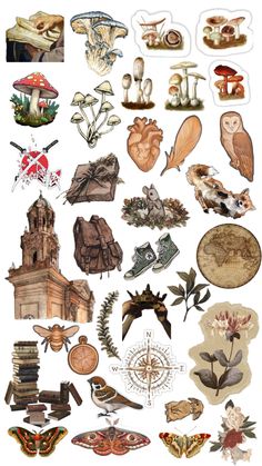 an assortment of different types of mushrooms and other things that are in the shape of pictures