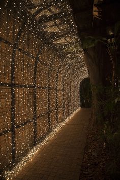 an image of a tunnel with lights on the walls and in the middle, there is a walkway that has been decorated with hundreds of small white christmas lights