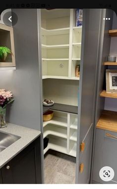 an open pantry door in a kitchen next to a sink and counter top with flowers on it