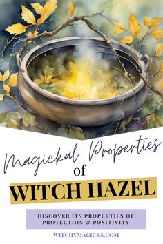 a book cover with an image of a witch's caulder and leaves