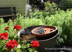 a garden with red flowers and plants in the foreground, including a water feature