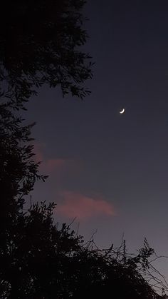 the moon is seen through some trees at night