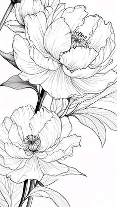 a drawing of flowers with leaves on the bottom and one flower in the top right corner