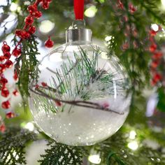 a glass ornament hanging from a christmas tree