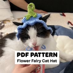 a black and white cat wearing a crocheted hat with the words pdf pattern on it