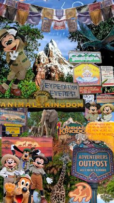 an advertisement for disneyland's animal kingdom featuring goofy, mickey mouse and other characters