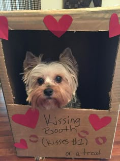 a small dog in a cardboard box with hearts on it