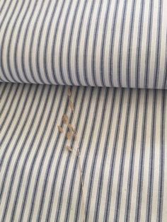 blue and white striped shirting fabric rolled up on top of each other with an insect crawling in between them