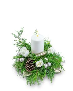 Starry Glow - Village Floral Designs and Gifts White Taper Candles, Poinsettia Care, Get Well Flowers, White Pillar Candles, Christmas Flower Arrangements, Anniversary Flowers, Hand Flowers, Order Flowers Online, Star Of Bethlehem