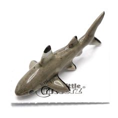 a small toy shark on a white background