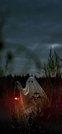 a ghost with a lantern in its hand is standing in the middle of a field