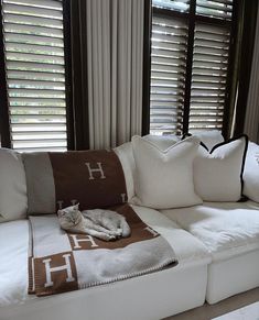 a cat laying on top of a white couch next to two windows covered in blinds