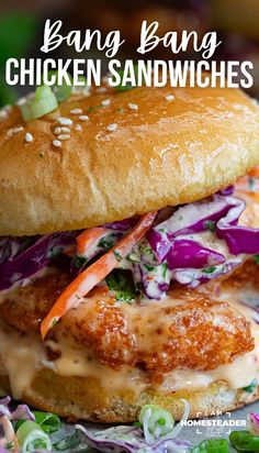 a chicken sandwich with coleslaw, carrots and dressing on a sesame seed bun