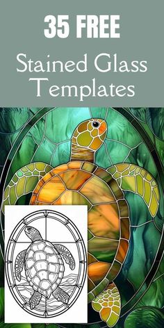 the stained glass turtle is shown in this book