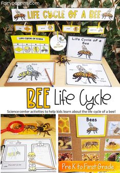 the life cycle of a bee is shown with pictures and instructions to help kids learn how to