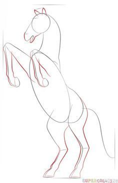 a drawing of a horse standing on its hind legs with one leg raised up and the other