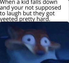 an animal with big eyes and the caption reads, when a kid falls down and your not supposed to laugh but they got ayeted pretty hard