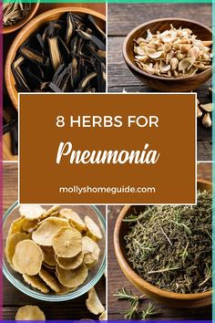 8 herbs for pneumania that you can use in the kitchen or at home