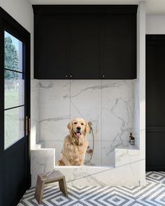 a golden retriever dog sitting in the doorway of a black and white tiled kitchen