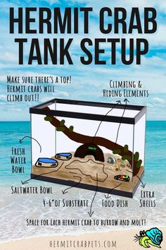 an image of a tank set up on the beach with information about how to use it