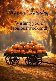 a wagon full of pumpkins with the words happy saturday wishing you a fabulous weekend