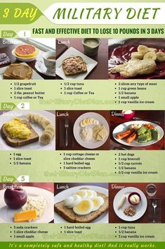 3 Day Military, Effective Diet, Fat Loss Diet Plan, Resep Diet, Keto Ideas, Diet Chart, Slim Fast, Lose 10 Pounds