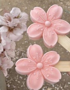 two pink flowers are sitting on a wooden stick