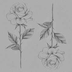 three different types of flowers are shown in this drawing