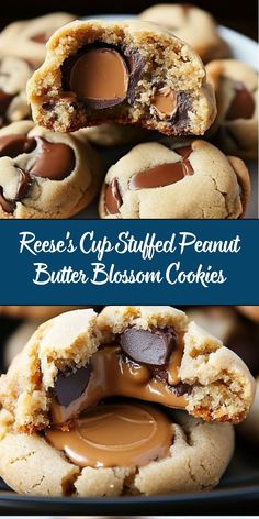 reese's cup stuffed peanut butter blossom cookies