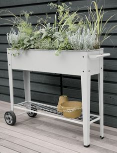 a white cart with plants on it sitting on a wooden floor next to a building