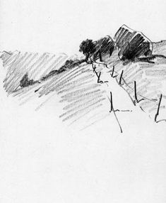 a pencil drawing of some trees on a hill