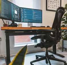 an office desk with two computer monitors and a plant in front of the monitor screen