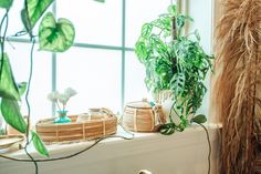 some plants are sitting on a window sill