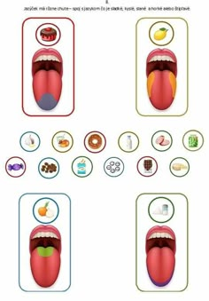 an image of the mouth with different foods in it