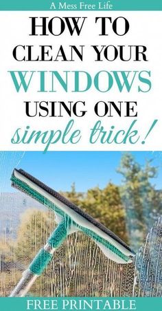 a window cleaning brush with the words how to clean your windows using one simple trick